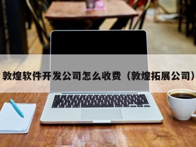 敦煌软件开发公司怎么收费（敦煌拓展公司）