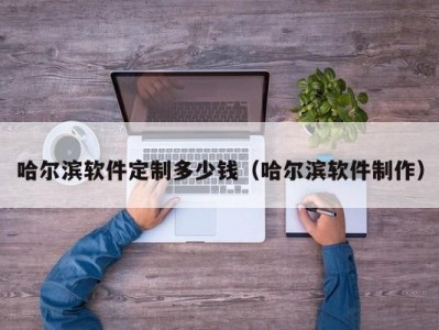 哈尔滨软件定制多少钱（哈尔滨软件制作）