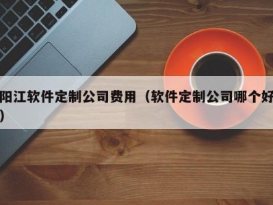 阳江软件定制公司费用（软件定制公司哪个好）