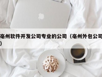 亳州软件开发公司专业的公司（亳州外包公司）