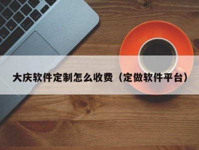 大庆软件定制怎么收费（定做软件平台）