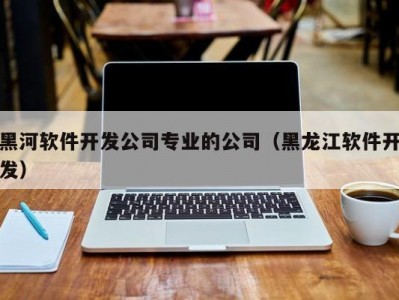 黑河软件开发公司专业的公司（黑龙江软件开发）