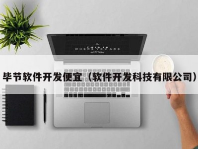 毕节软件开发便宜（软件开发科技有限公司）