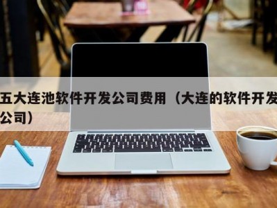 五大连池软件开发公司费用（大连的软件开发公司）
