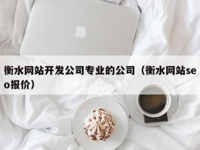 衡水网站开发公司专业的公司（衡水网站seo报价）