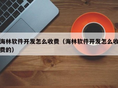 海林软件开发怎么收费（海林软件开发怎么收费的）