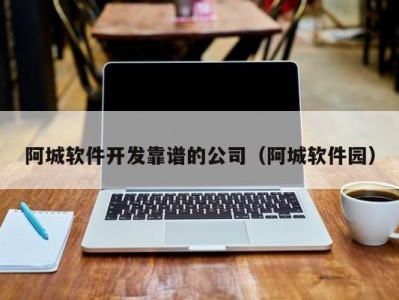 阿城软件开发靠谱的公司（阿城软件园）