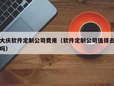 大庆软件定制公司费用（软件定制公司值得去吗）