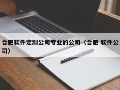 合肥软件定制公司专业的公司（合肥 软件公司）
