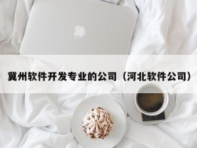 冀州软件开发专业的公司（河北软件公司）
