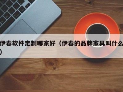 伊春软件定制哪家好（伊春的品牌家具叫什么）