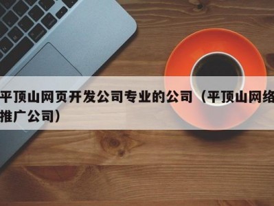 平顶山网页开发公司专业的公司（平顶山网络推广公司）