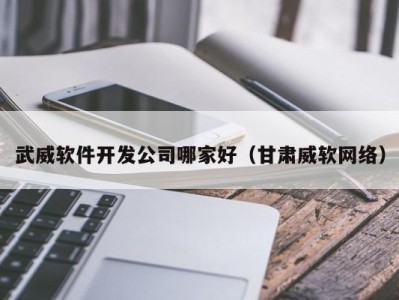 武威软件开发公司哪家好（甘肃威软网络）