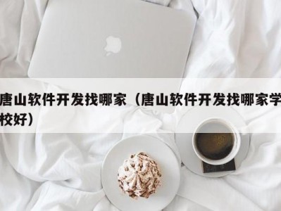 唐山软件开发找哪家（唐山软件开发找哪家学校好）