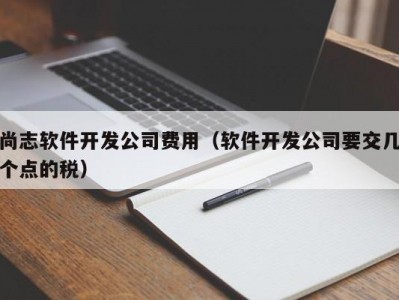 尚志软件开发公司费用（软件开发公司要交几个点的税）