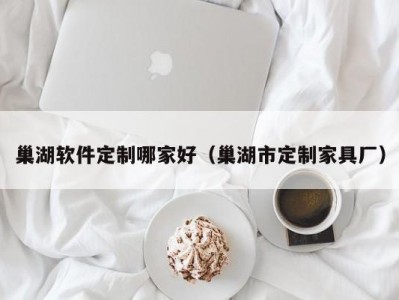 巢湖软件定制哪家好（巢湖市定制家具厂）