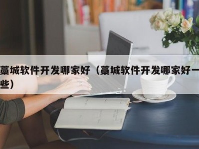 藁城软件开发哪家好（藁城软件开发哪家好一些）