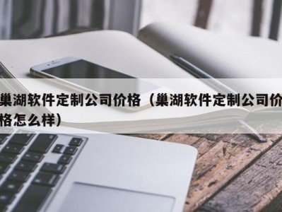 巢湖软件定制公司价格（巢湖软件定制公司价格怎么样）