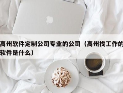 高州软件定制公司专业的公司（高州找工作的软件是什么）