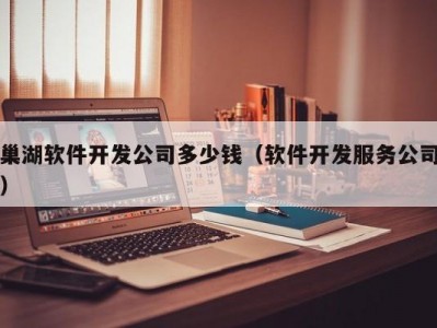 巢湖软件开发公司多少钱（软件开发服务公司）