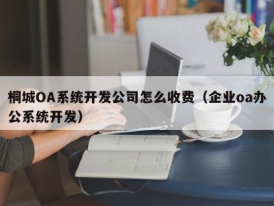 桐城OA系统开发公司怎么收费（企业oa办公系统开发）