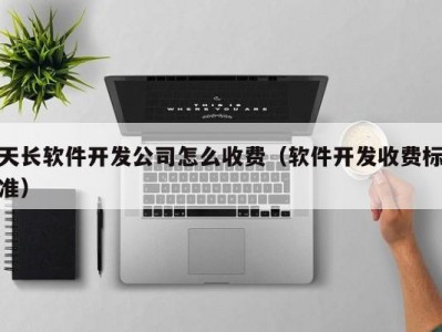 天长软件开发公司怎么收费（软件开发收费标准）