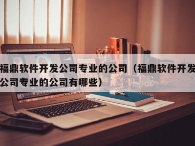 福鼎软件开发公司专业的公司（福鼎软件开发公司专业的公司有哪些）