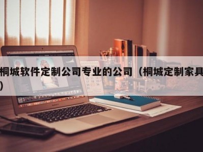 桐城软件定制公司专业的公司（桐城定制家具）