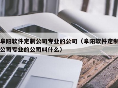 阜阳软件定制公司专业的公司（阜阳软件定制公司专业的公司叫什么）