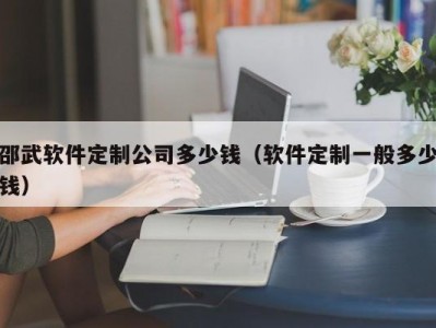 邵武软件定制公司多少钱（软件定制一般多少钱）