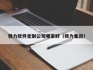 铁力软件定制公司哪家好（铁力集团）