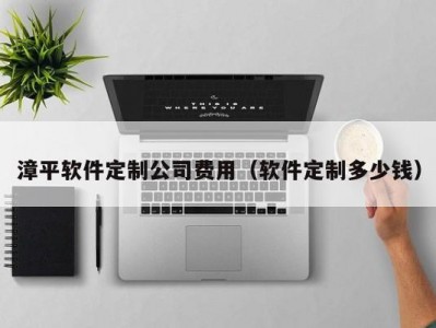 漳平软件定制公司费用（软件定制多少钱）