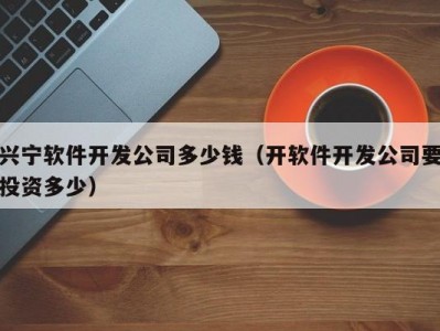 兴宁软件开发公司多少钱（开软件开发公司要投资多少）