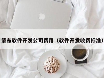 肇东软件开发公司费用（软件开发收费标准）