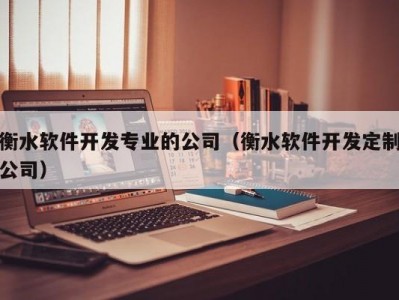 衡水软件开发专业的公司（衡水软件开发定制公司）