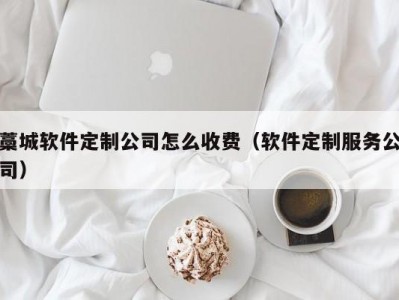 藁城软件定制公司怎么收费（软件定制服务公司）