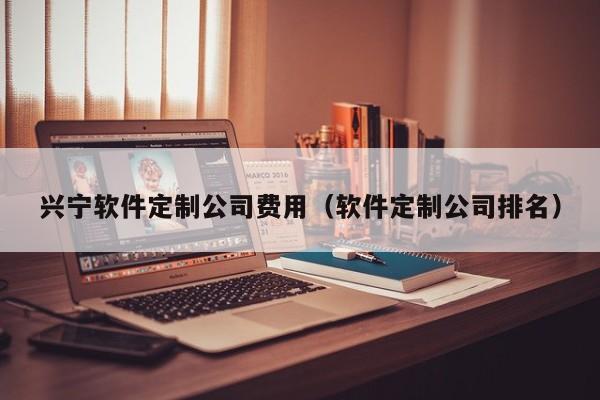 兴宁软件定制公司费用(软件定制公司排名)